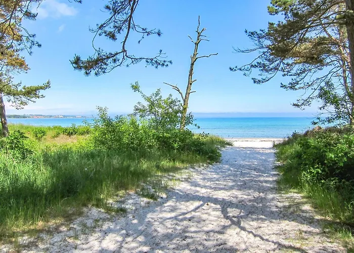 In With Wifi * Neksø